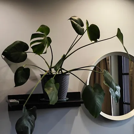 The Hill ゲストハウス