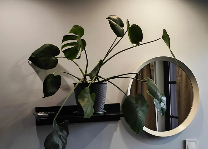 The Hill Guest house