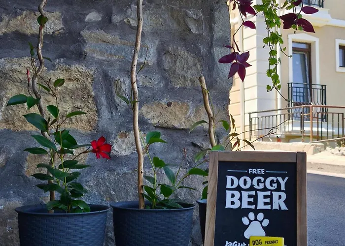 The Hill ヴェリコ・タルノヴォ